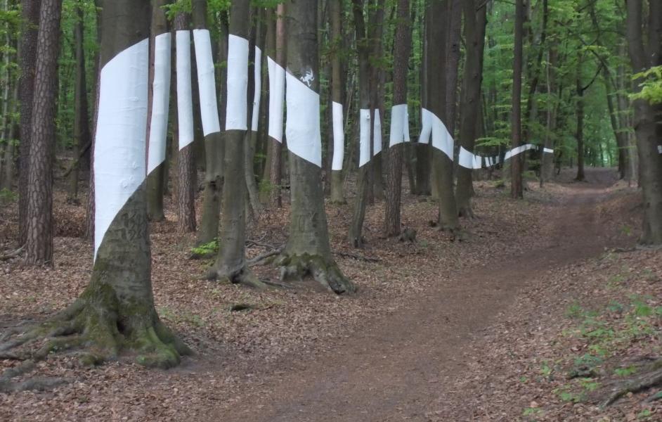 KulturaTrail Natufreunde Rodenbach Wabernde Welle