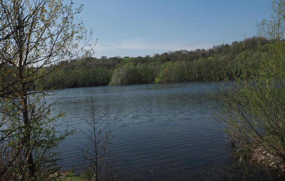 Blick auf den Werraaltarm bei Albungen