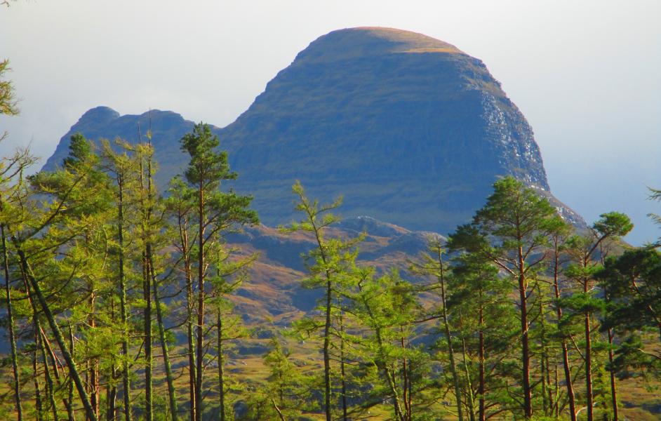Schottland 1