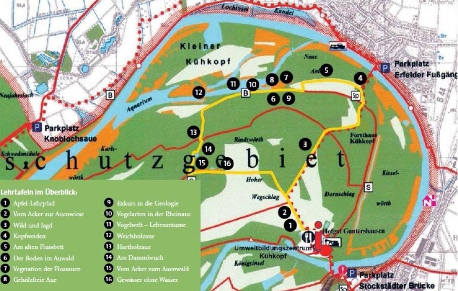 Natura Trail „Kühkopf - Hotspot der Artenvielfalt" | NaturFreunde Hessen