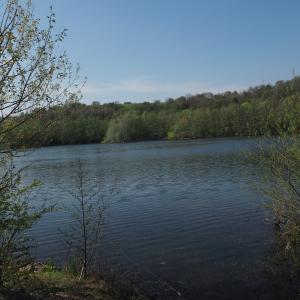 Blick auf den Werraaltarm bei Albungen