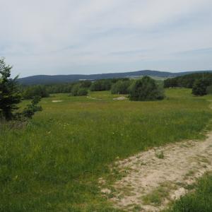 Naturatrail Taunus